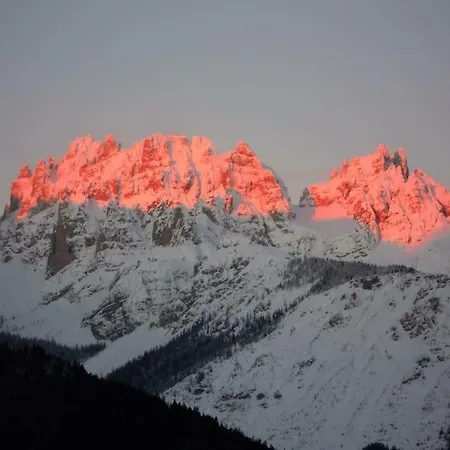 Sulle Dolomiti Con I Nostri Amici A 4 Zampe Appartamento *
